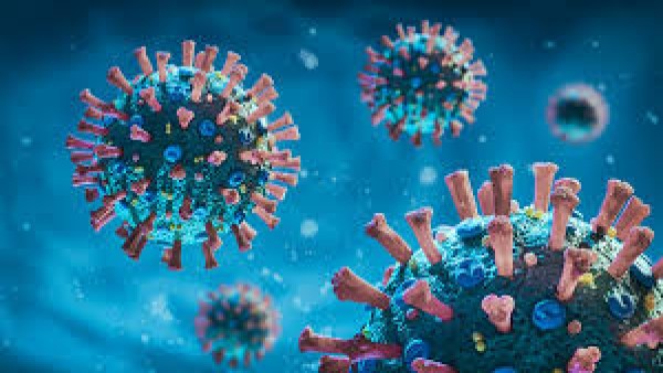 Ilustrasi covid-19-1633257030