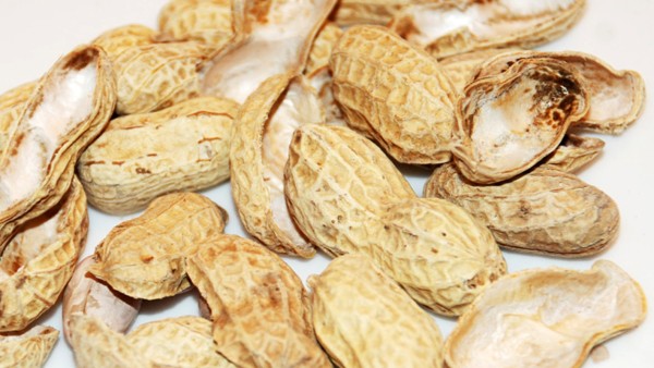 Ilustrasi kulit kacang (bebeja.com)-1634874227