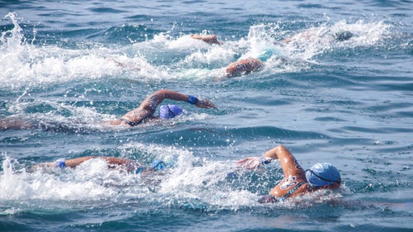 Pertandingan cabor renang perairan terbuka PON XX Papua-1633365907