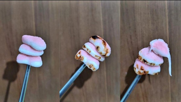 Penampakan Yupi bakar. (net)-1640007694