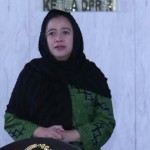 Puan-1648785304