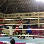 Tinju-1669115978
