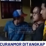 Curi Motor-1744099065