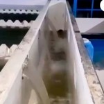 Sungai-1767103466