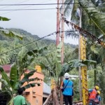 Pln-1768624719