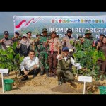 menhut-1772693311
