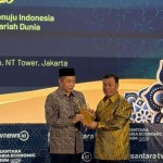 nushaf-1772621170