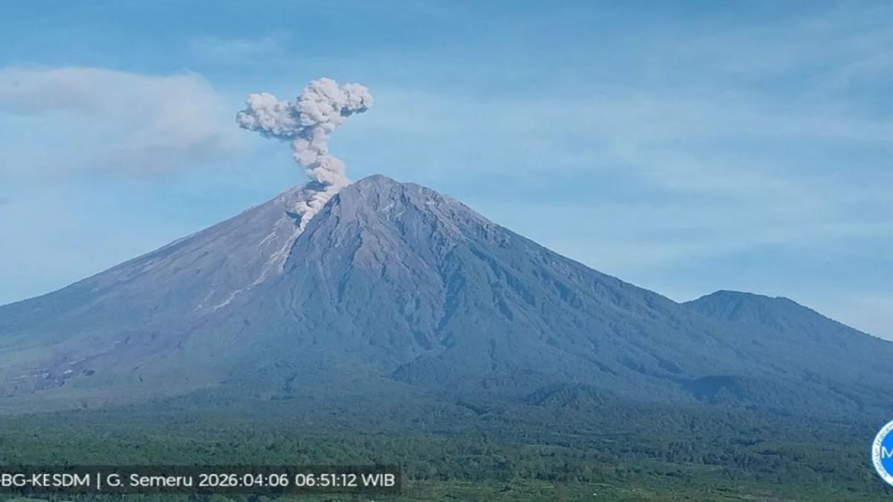 Gunung Semeru erupsi dengan tinggi letusan sekitar 1.100 meter di atas puncak pada Senin (6/4/2026). ANTARA/HO-PVMBG