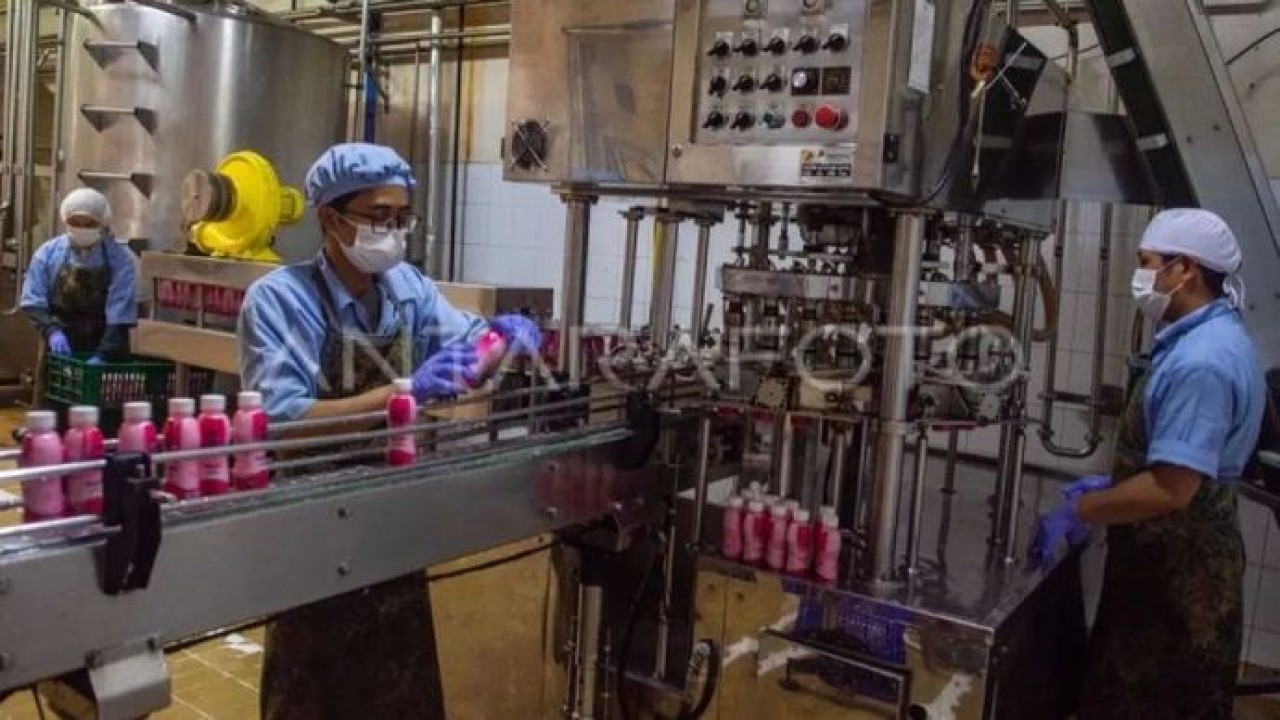 Pekerja menyelesaikan produksi susu kemasan di Unit Produksi Koperasi Produsen Peternakan Bandung Selatan (KPBS) Pangalengan, Kabupaten Bandung, Jawa Barat, Kamis 2 Oktober 2025. (ANTARA FOTO/Novrian Arbi/nym) (Antara)