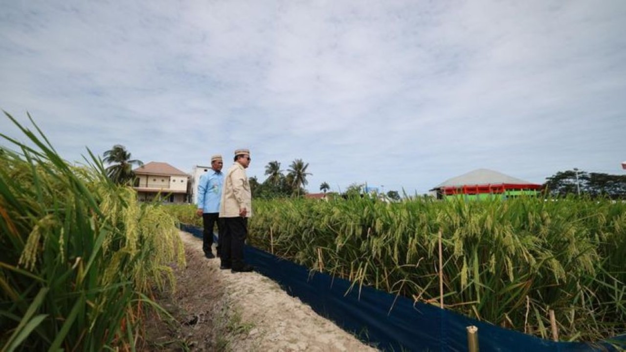Presiden Prabowo Subianto menghadiri acara puncak Pekan Nasional (PENAS) Petani dan Nelayan XVII di Gorontalo, Rabu, 24 Juni 2026. (Foto: NTVnews)